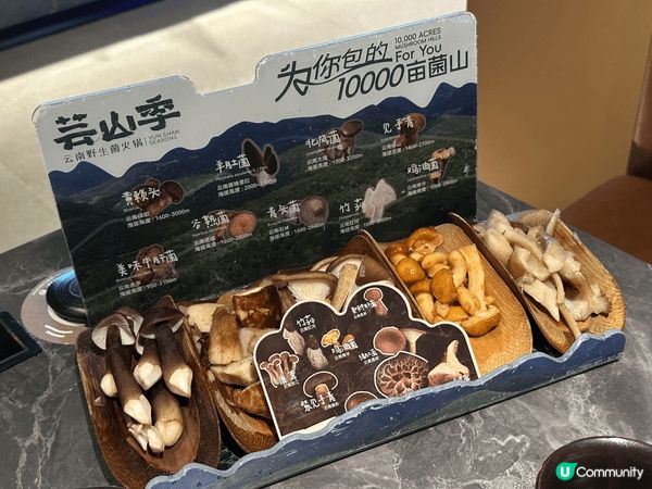 陪屋企人返咗深圳，去咗食雲南特色火鍋-芸山季，佢又好多特色嘅...