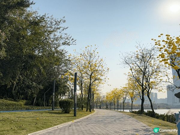 上次返深圳玩去咗南頭古城、人才公園，都好值得推介。第一日去咗...