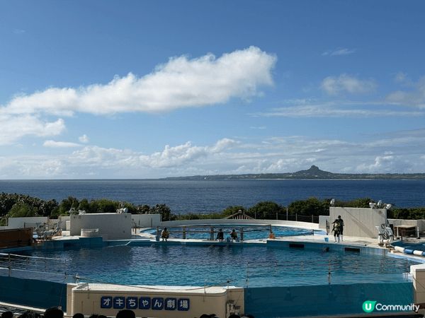 美麗海水族館喺沖繩本部町，係好出名又靚嘅景點。入到去最大亮點...