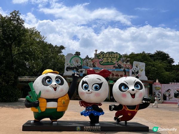 去了廣州長隆動物園，天氣不太熱，也去了大佛寺，很漂亮。