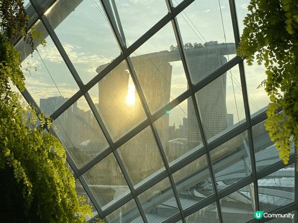 新加坡同香港差唔多，都係一個多元文化的地區。美景都係繞着唔同...