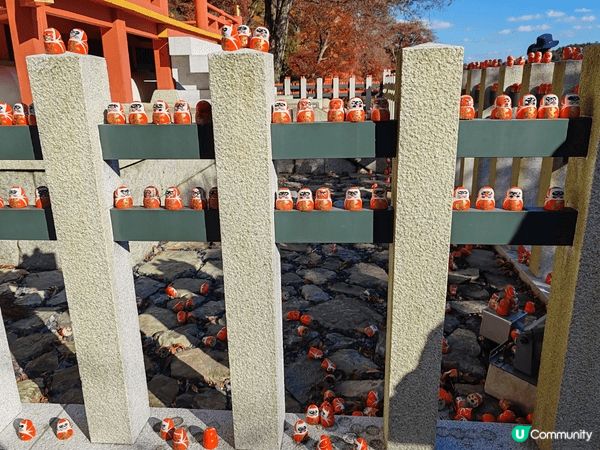 漫山的深紅紅葉與海量的達摩形成一副靓麗的風景
