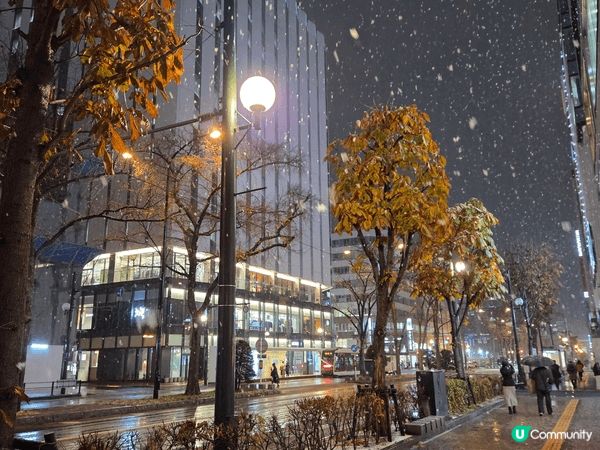 札幌係一個可以滿足好多願望嘅地方，無論係欣賞海景，睇红葉，享...