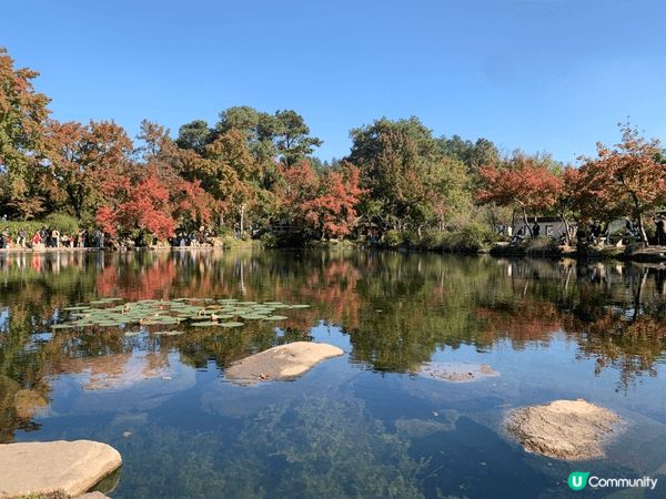 秋季旅行中國華東之旅風光明媚天氣好風景靚
