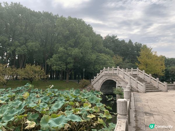 秋季旅行中國華東之旅風光明媚天氣好風景靚