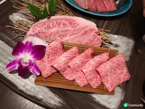 仙台之旅，燒肉美食食不停，天氣又好，花花開得燦爛，放假去玩真...