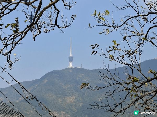 蓮麻坑鉛礦洞重新修葺後，2024年底重新開放，不需要禁區紙，...