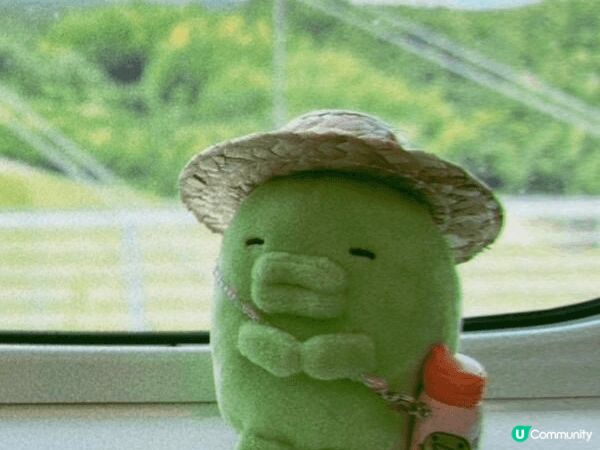 我呢次去韓國 Toon!que x Tamagotchi 期...