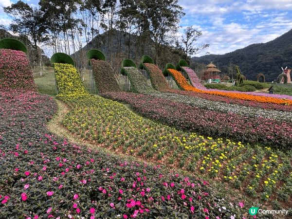 ⭐️廣州後花園隱世秘境⭐️   想遠離繁囂去隱世地方放空吓？...