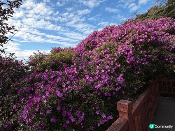 ⭐️廣州後花園隱世秘境⭐️   想遠離繁囂去隱世地方放空吓？...