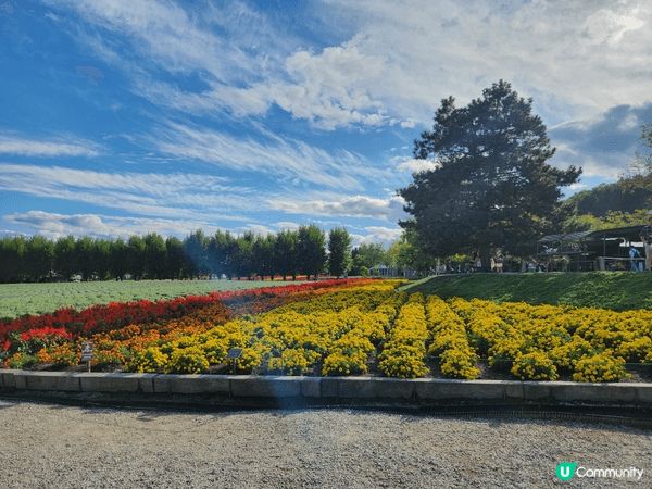 北海道之美 - 七彩繽紛配藍天白雲 風景如畫 環境優美舒適