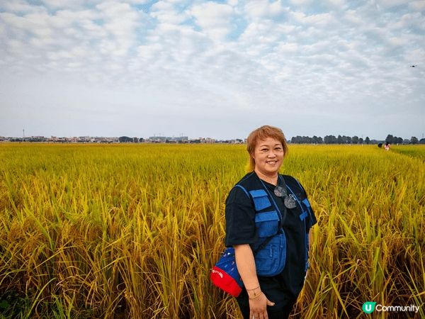 禾田美景，卡耳刺激，美食豐富，享受愉快假期開心快樂