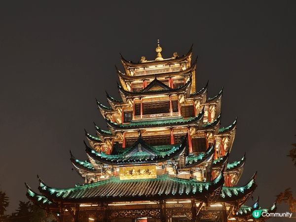 重慶呢趟旅行，每一幕都記喺心入面。睇熊貓攤喺架上面瞓晏覺，得...