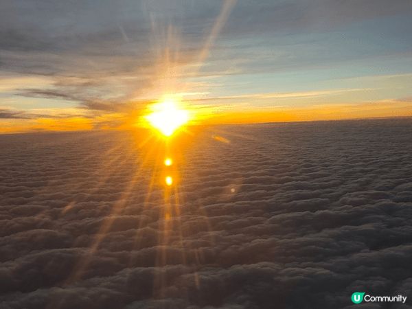 重慶呢趟旅行，每一幕都記喺心入面。睇熊貓攤喺架上面瞓晏覺，得...