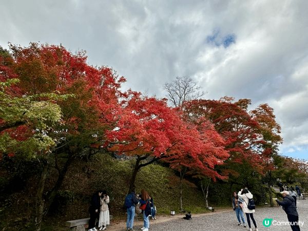宇治真係大阪近郊一個好適合半天或者一天遊，適合休閒嘅地方，旅...