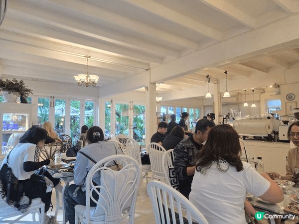 清邁森林主題cafe, 打卡一流，甜品鹹點同樣出色！