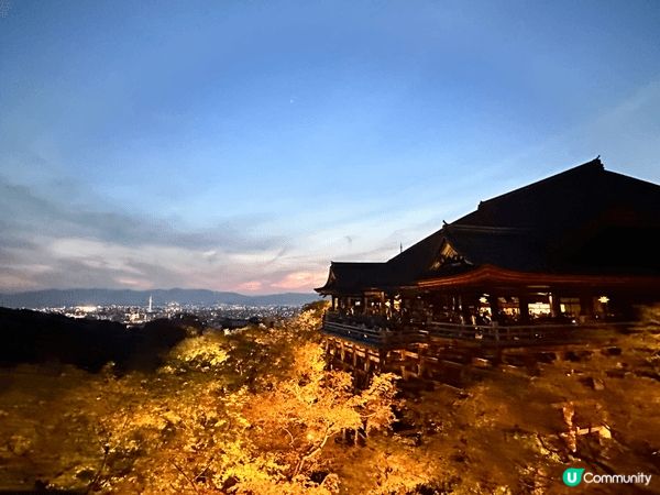 在櫻花季時，喺清水寺睇夜櫻係一個很好的體驗，夜晚亦可以觀賞不...