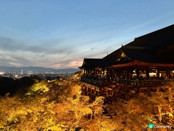 在櫻花季時，喺清水寺睇夜櫻係一個很好的體驗，夜晚亦可以觀賞不...