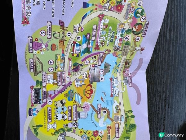 大埔蝶豆花園真係一家大小好嘅去處！入面有靚靚嘅花海，適合拍照...