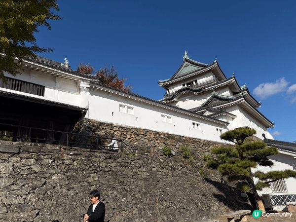 和歌山好啱一些怕迫既人去 因為每次去親大阪 我都覺得好迫 特...