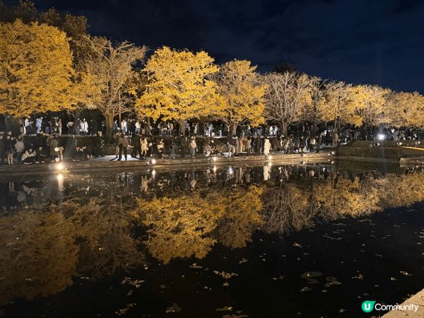 東京立川站附近的昭和記念公園晚間light up event...