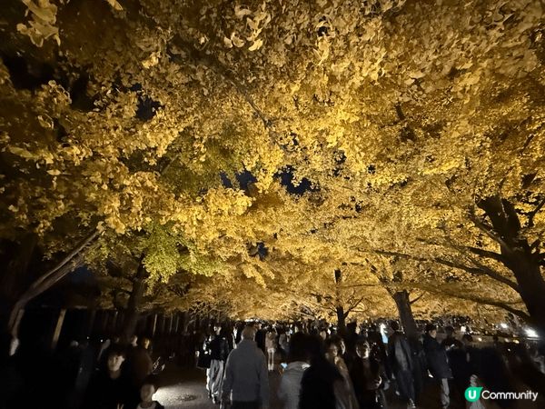 東京立川站附近的昭和記念公園晚間light up event...