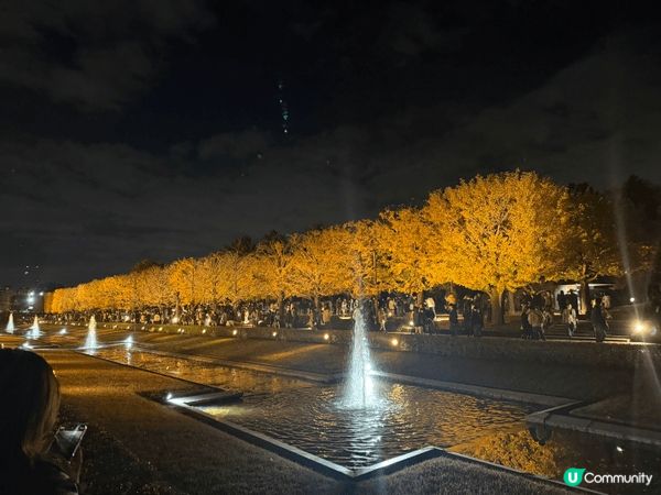 東京立川站附近的昭和記念公園晚間light up event...