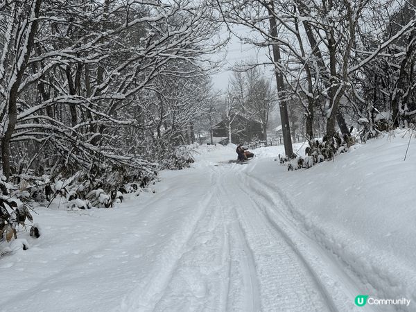 係冰天雪地嘅時候，玩雪上電單車真係一個好好嘅體驗，真係超好玩...