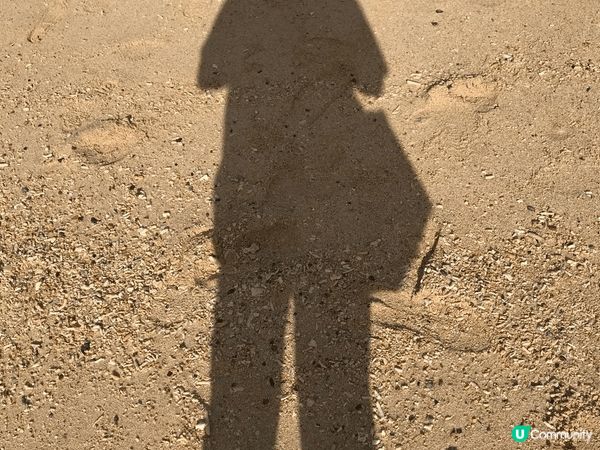 去到沖繩, 不能不體驗郊外及海灘的景色, 雖然是同一天空下,...
