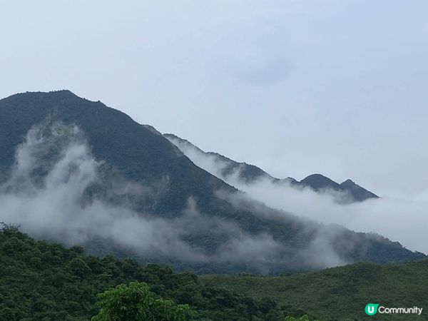 雖然不是因為宗教信仰，但入到香港慈山寺，真的感受到心靈被洗滌...