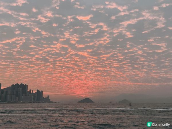西九文化區環境好舒適，除咗可以去故宮博物館參觀，仲可以散下步...