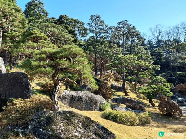 參觀韓國的一望無際芒草公園及庭園，也在光影體驗館盡情拍下美照...