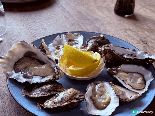今年暑假，同一班老死一齊去左澳洲悉尼旅遊！由於大家都係第一次...