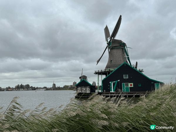 今年帶家人去荷蘭🇳🇱呢個治安出名安全的城市，由市內的河景 至...