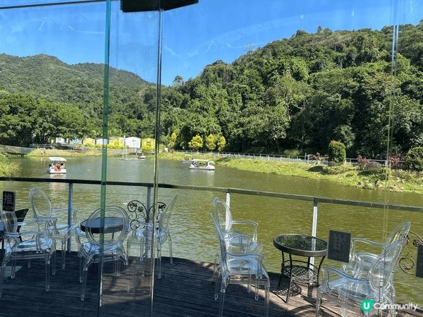 大埔蝶豆花園真係一家大小好嘅去處！入面有靚靚嘅花海，適合拍照...