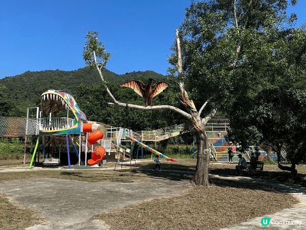 大埔蝶豆花園真係一家大小好嘅去處！入面有靚靚嘅花海，適合拍照...