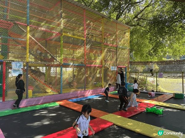 大埔蝶豆花園真係一家大小好嘅去處！入面有靚靚嘅花海，適合拍照...