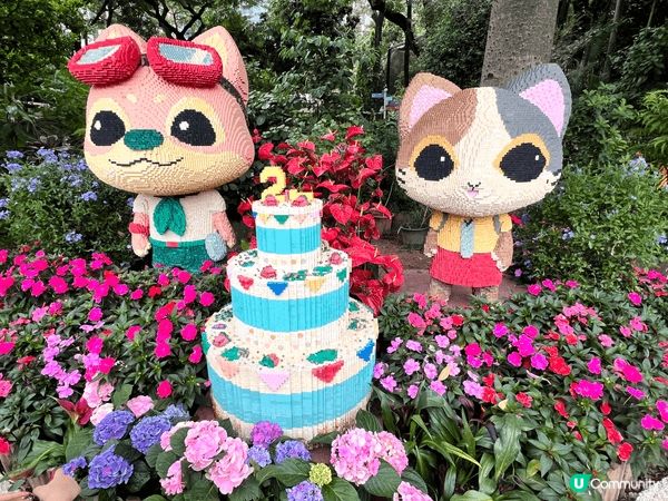 親子免費好去處—-香港動植物公園，公園新加水賴及小蒙狐兩位新...