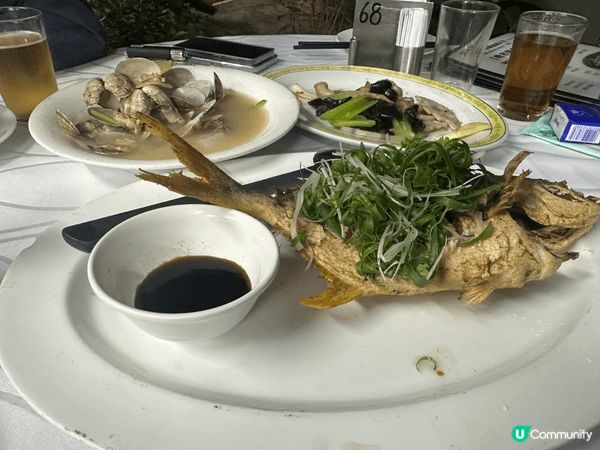 推薦美食係地道嘅牛池灣大排檔，一到食飯時間就已經人山人海，氣...