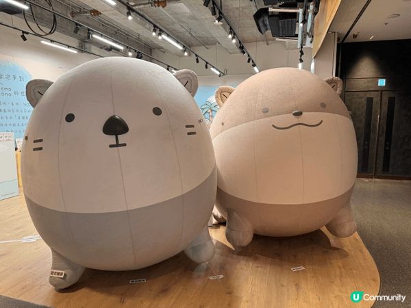 海豹在airside 商場內