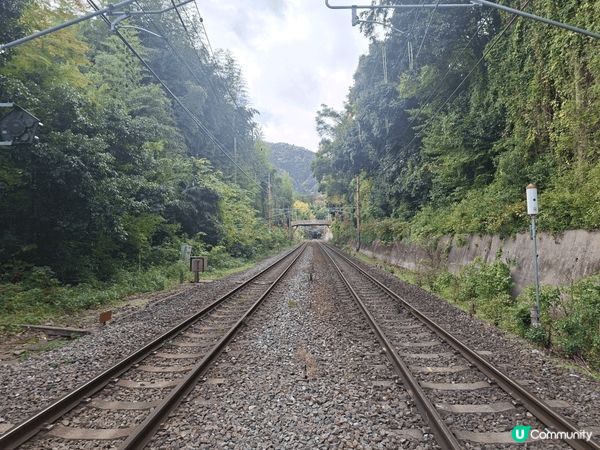 ✨️今次介紹和推薦一個遊日本京都嵐山區的休閒旅遊景點就是竹林...