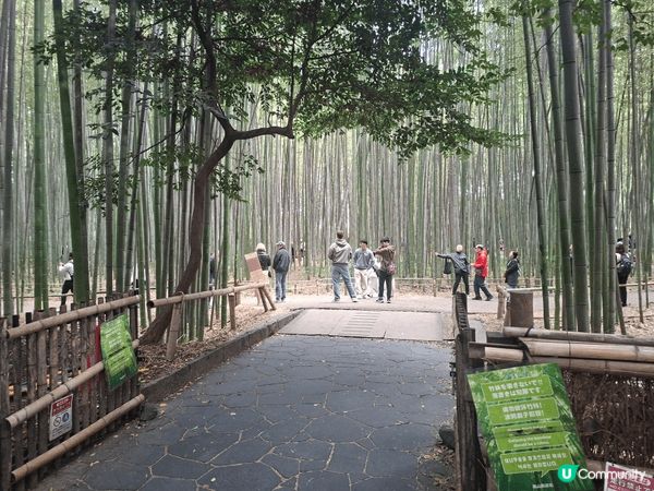 ✨️今次介紹和推薦一個遊日本京都嵐山區的休閒旅遊景點就是竹林...