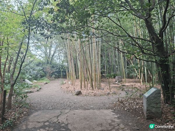 ✨️今次介紹和推薦一個遊日本京都嵐山區的休閒旅遊景點就是竹林...