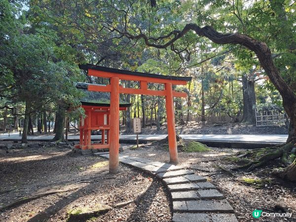 ✨今次介紹和推薦一個遊日本奈良的一個旅遊景點就是「奈良公園」...