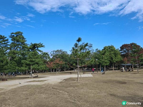 ✨今次介紹和推薦一個遊日本奈良的一個旅遊景點就是「奈良公園」...