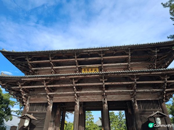 ✨今次介紹和推薦一個遊日本奈良的一個旅遊景點就是「奈良公園」...