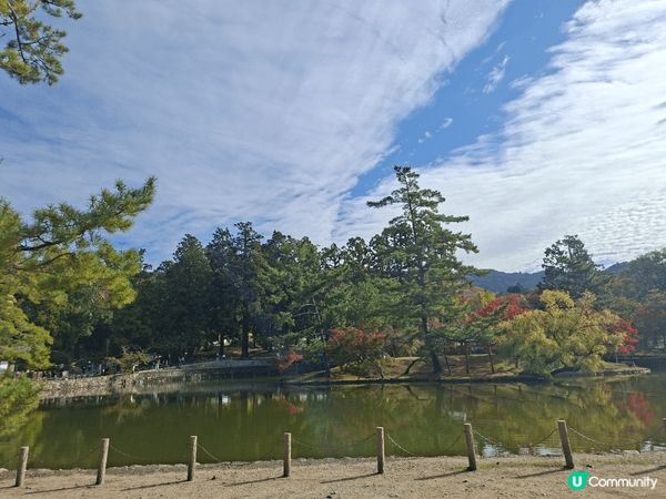 ✨今次介紹和推薦一個遊日本奈良的一個旅遊景點就是「奈良公園」...