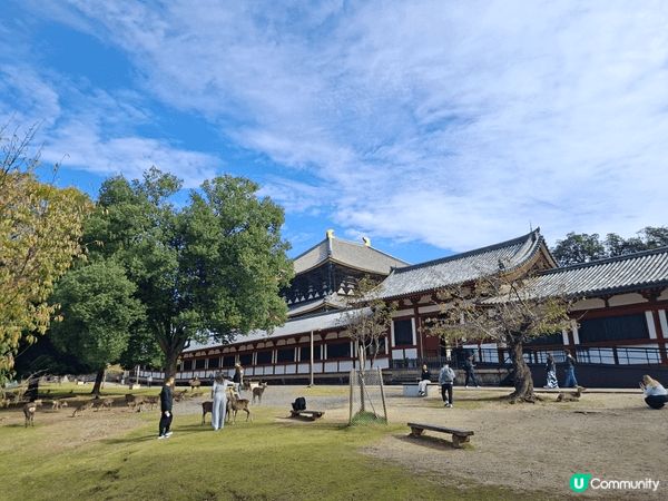✨今次介紹和推薦一個遊日本奈良的一個旅遊景點就是「奈良公園」...