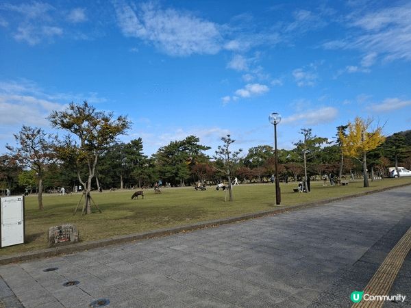 ✨今次介紹和推薦一個遊日本奈良的一個旅遊景點就是「奈良公園」...