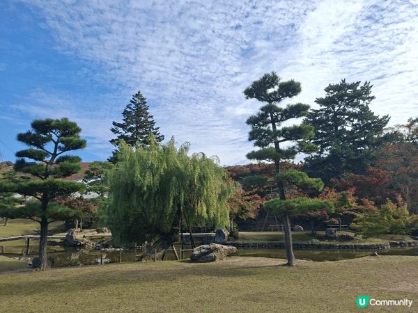 ✨今次介紹和推薦一個遊日本奈良的一個旅遊景點就是「奈良公園」...